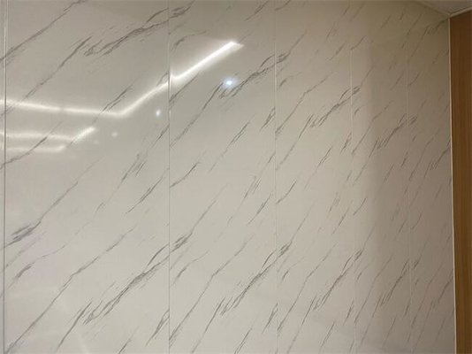 購入 容器の内部のための天井の船の壁パネルのカバー0.5mm オンライン製造