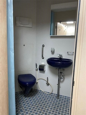 購入 防水前にすてきなモジュラー洗面所のオフィスの洗面所 オンライン製造